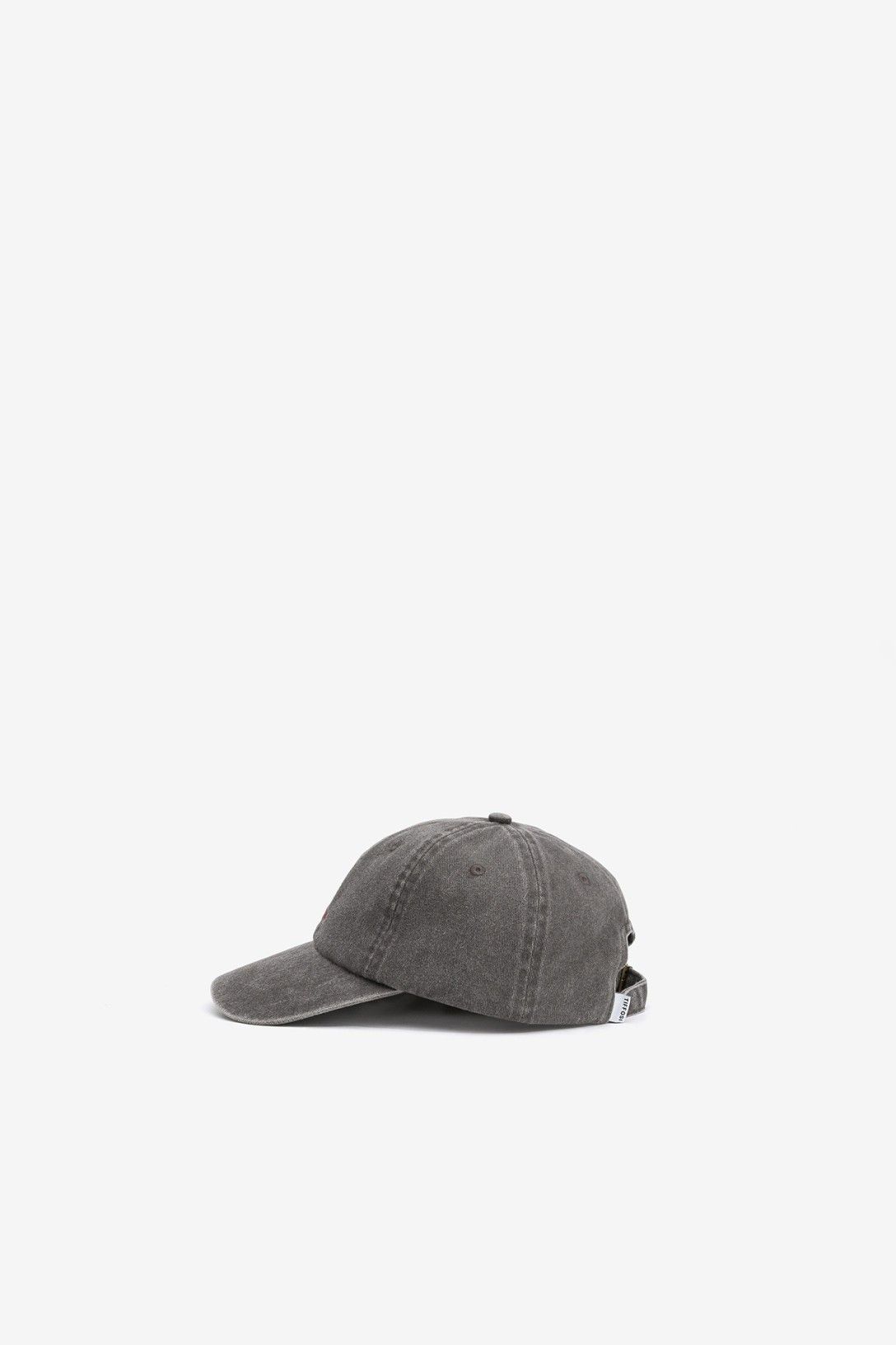 CAPPELLINO TEDDY BEAR